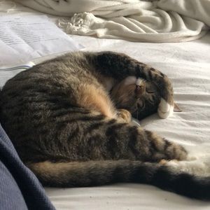 Meet your Posher, Trav